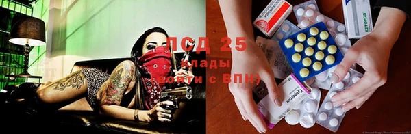 стафф Арсеньев