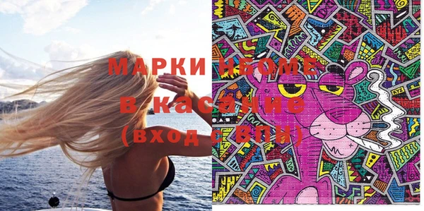стафф Арсеньев