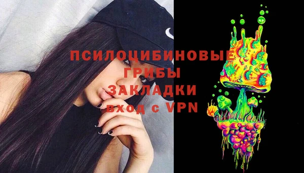стафф Арсеньев