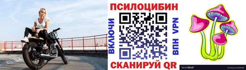наркотики  Почеп  Псилоцибиновые грибы мицелий 